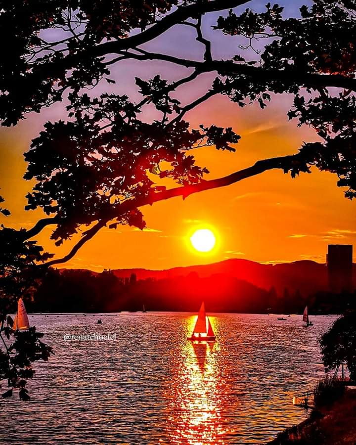 good evening everyone💫