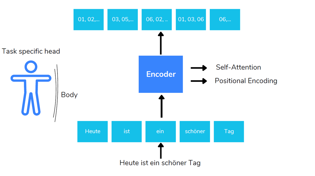 datenverstehen's tweet photo. Der erste Teil besteht aus Encoder. Encoder verarbeitet den Text zu einer numerischen Repräsentation. Encoder selbst besteht aus body + task-specific head. "Head" bestimmt, was der Encoder letztendlich macht.  #nlp #chatgpt #transformer https://t.co/ApXyly7jHP