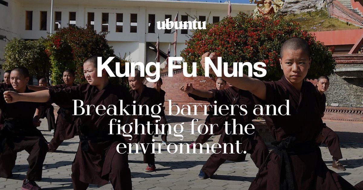 UbuntuBristol's tweet photo. Discover the Kung Fu nuns promoting environmentalism and challenging traditional gender roles and stigmas.

Read more in our latest article: https://t.co/M0Yo941yAi

#kungfununs #nepal #genderequality #environmentalism https://t.co/AX2vb2SrJF