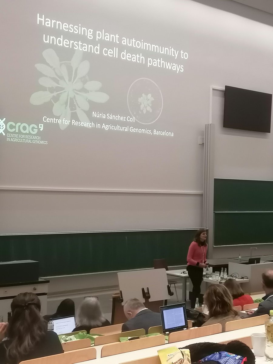 EPitsili's tweet photo. Great talk about plant immunity and implication of proteases in it by @bactodeath in #CSM2023 in Cologne organized by @CRC_1218 #celldeath #plantimmunity #HR https://t.co/j2MSuakOMM