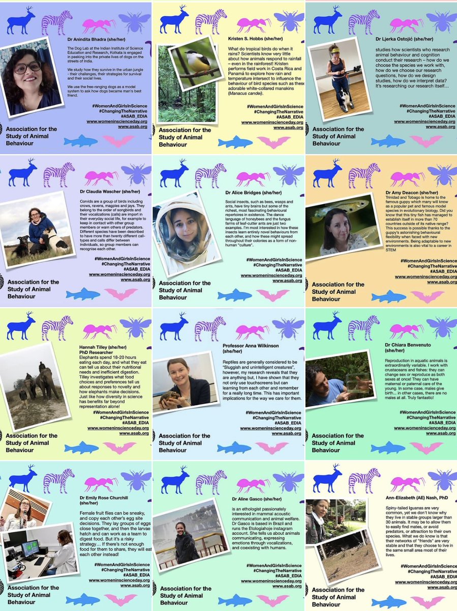 asab_org's tweet image. Today is the day! We showcased 37 fantastic scientists for #WomenAndGirlsInScience culminating in #IWD23  today. A huge round of applause for everyone who joined in &amp;amp; an even bigger ovation for the rest of our female #AnimalBehaviour academics #ASAB_EDIA 💚🐝🐶🐯🐸🐧🦋🪰🐙🦀🐳🦭