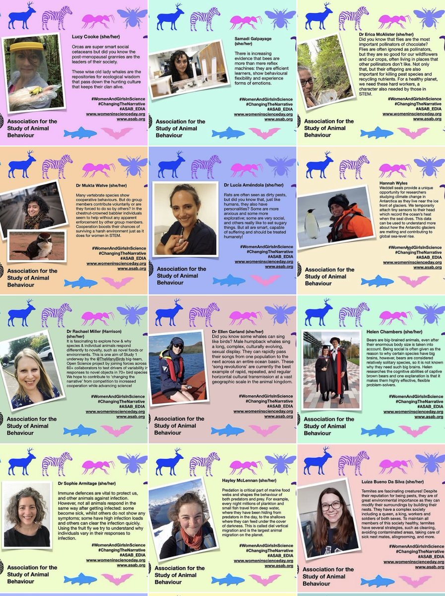 asab_org's tweet image. Today is the day! We showcased 37 fantastic scientists for #WomenAndGirlsInScience culminating in #IWD23  today. A huge round of applause for everyone who joined in &amp;amp; an even bigger ovation for the rest of our female #AnimalBehaviour academics #ASAB_EDIA 💚🐝🐶🐯🐸🐧🦋🪰🐙🦀🐳🦭