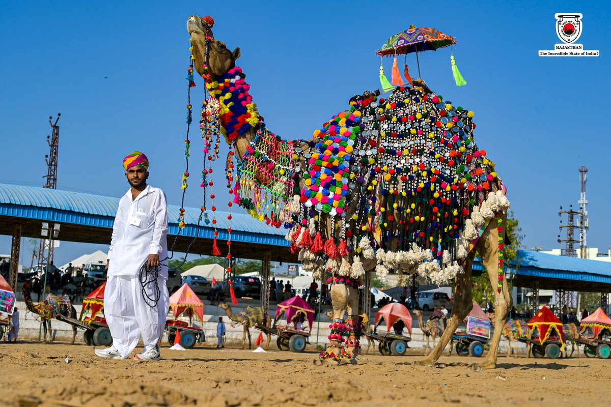 my_rajasthan's tweet photo. #Pushkar #holi #holifestival #festivalofcolors #pushkarholi #festivalofrajasthan #colourful #colorfullrajasthan #rajasthan #rajasthantourism
(2/3) https://t.co/HiKiIEv1ot