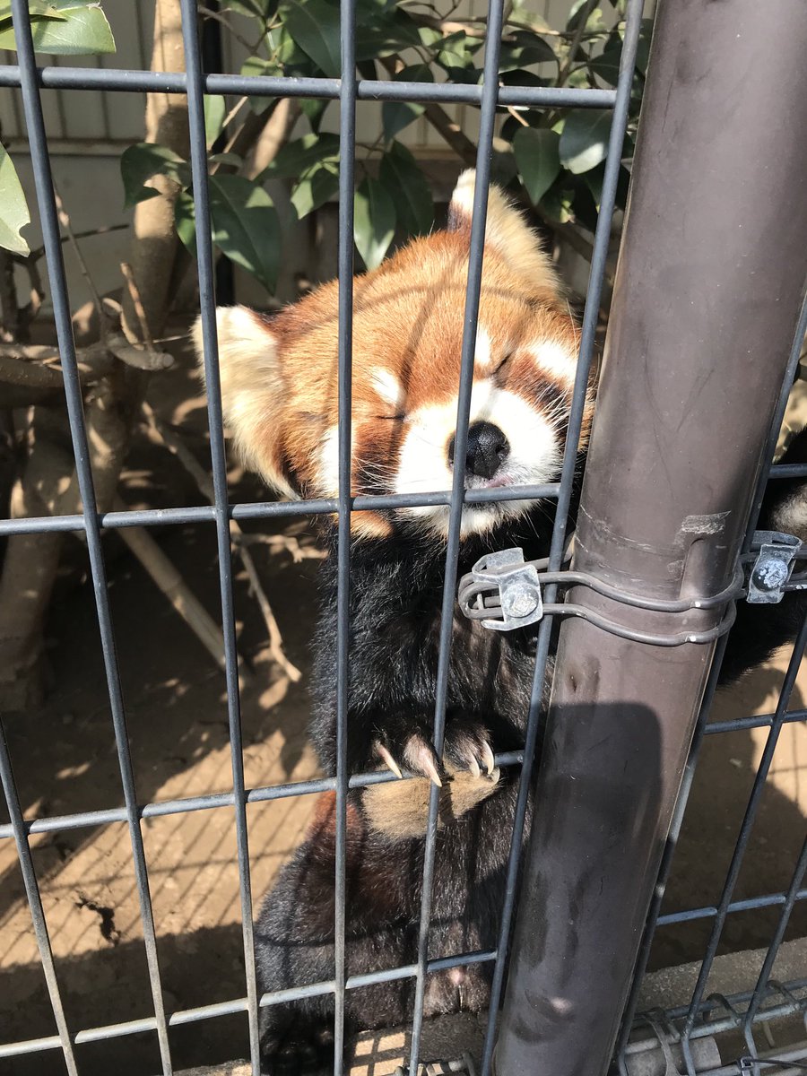 市川市動植物園