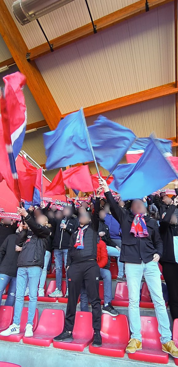 Orgullo Numantino tweet media