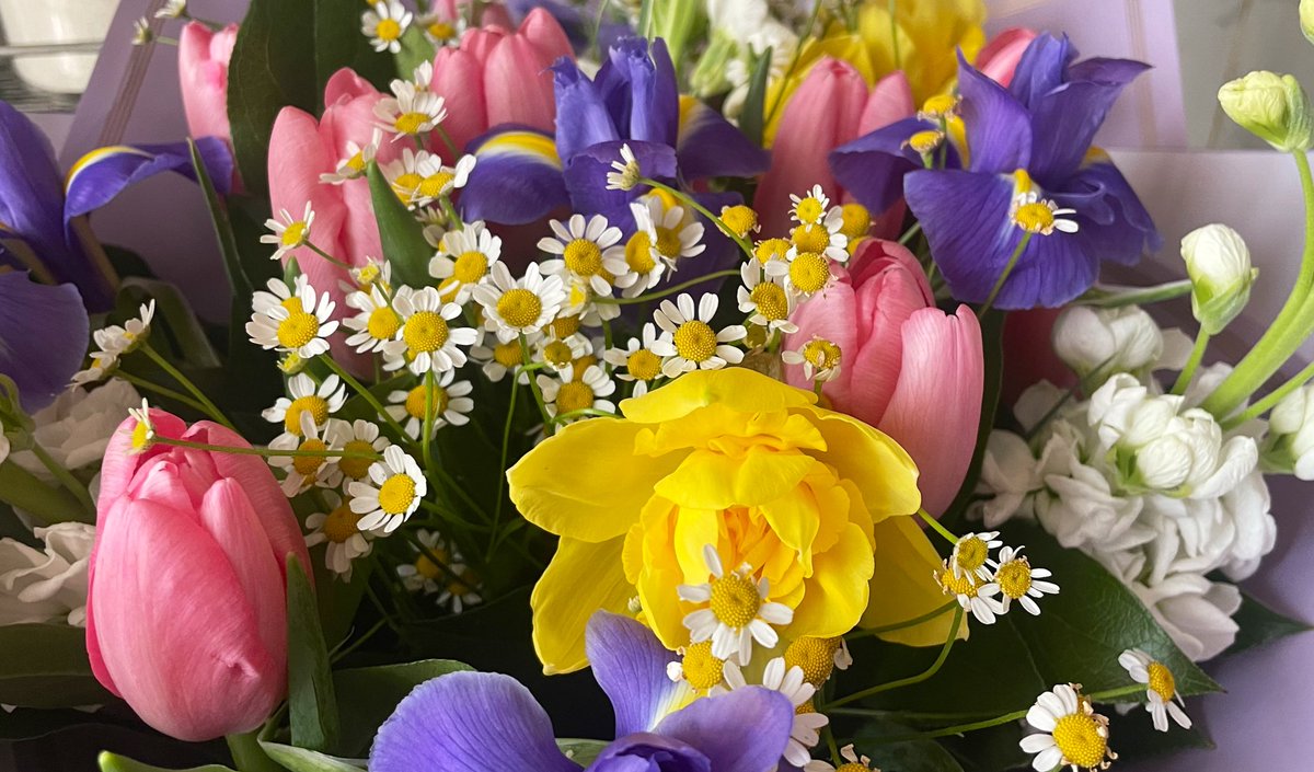 Migaaalka's tweet photo. Ну, как говорится, с праздником всех дам, не дам, и дам, но не вам 😎😂🥰 https://t.co/fehjc3ycH4