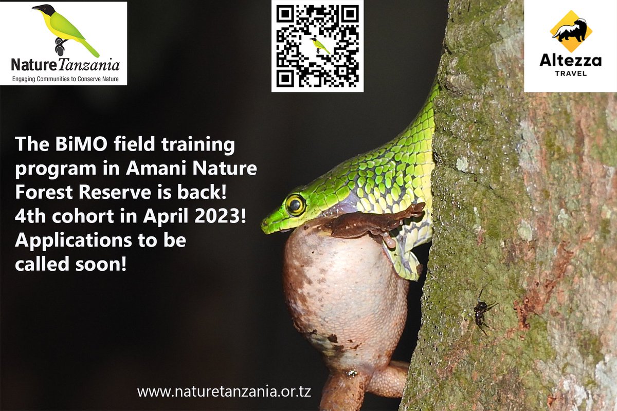 Stay tuned for the most exciting and interesting field training and mentoring program of Nature Tanzania. In Amani Nature Forest Reserve. In partnership with the University of Dar es Salaam and financial support from Altezza Travel...cheers