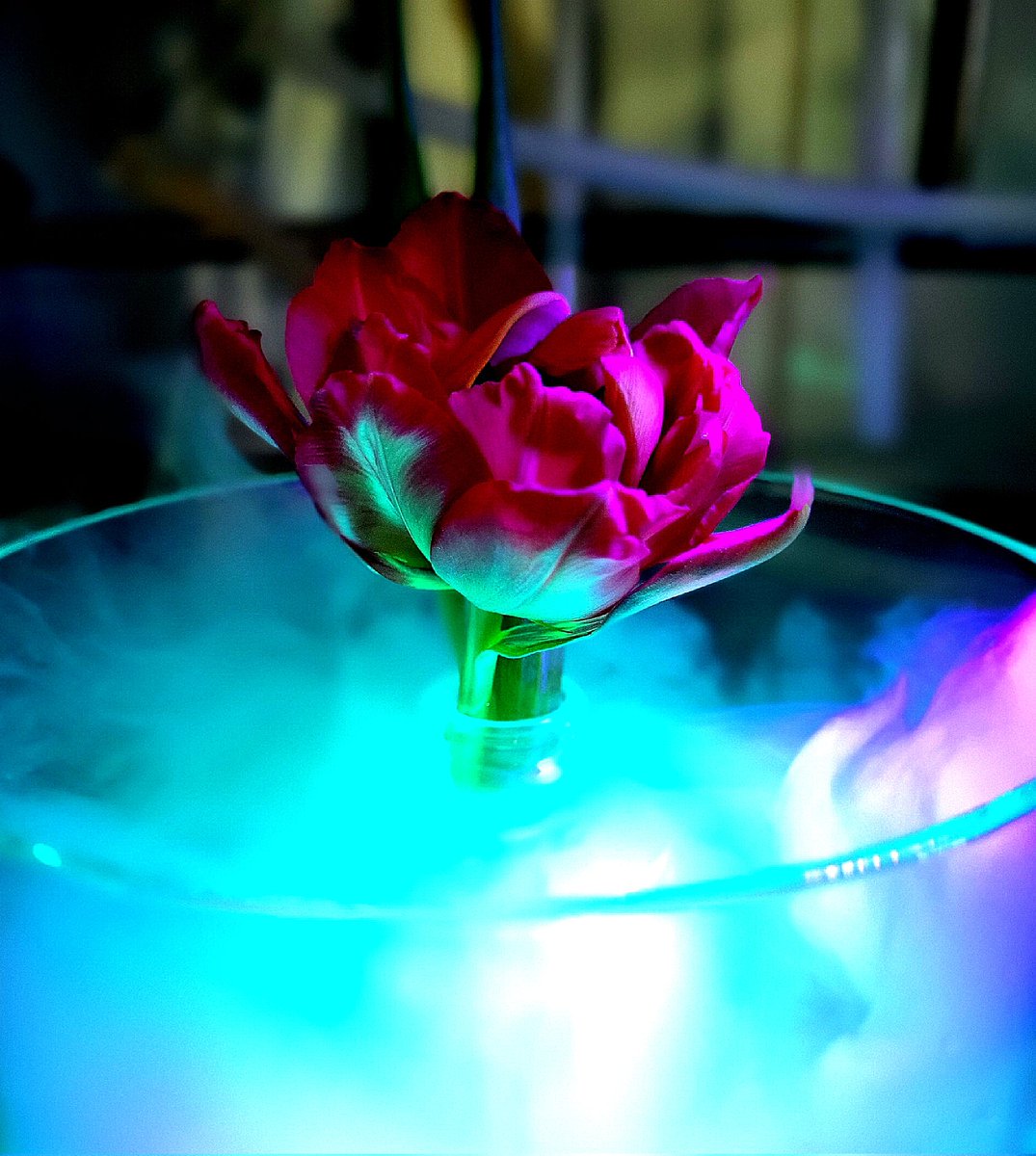 Maciek Majdecki tweet media