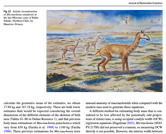 Mauricio Alvarez 🎨🌿Science Illustrator (@arbalbel) on Twitter photo 🎨🦙happy for new great news✨¡¡ Nuevo paper en Journal of Mammalian Evolution !!, con mi ilustración, de macrauchenido de Bahía Inglesa, Chile.
Muy agradecido de
<a href="/PuschelHans/">Hans Püschel</a>, School of GeoSciences, U of Edinburgh, UK, y de
<a href="/RedPaleo_UChile/">Red Paleontológica U. de Chile</a>
🌿🎨Link: rdcu.be/c6ol0 🎨🦙happy for new great news✨¡¡ Nuevo paper en Journal of Mammalian Evolution !!, con mi ilustración, de macrauchenido de Bahía Inglesa, Chile.
Muy agradecido de
<a href="/PuschelHans/">Hans Püschel</a>, School of GeoSciences, U of Edinburgh, UK, y de
<a href="/RedPaleo_UChile/">Red Paleontológica U. de Chile</a>
🌿🎨Link: rdcu.be/c6ol0
