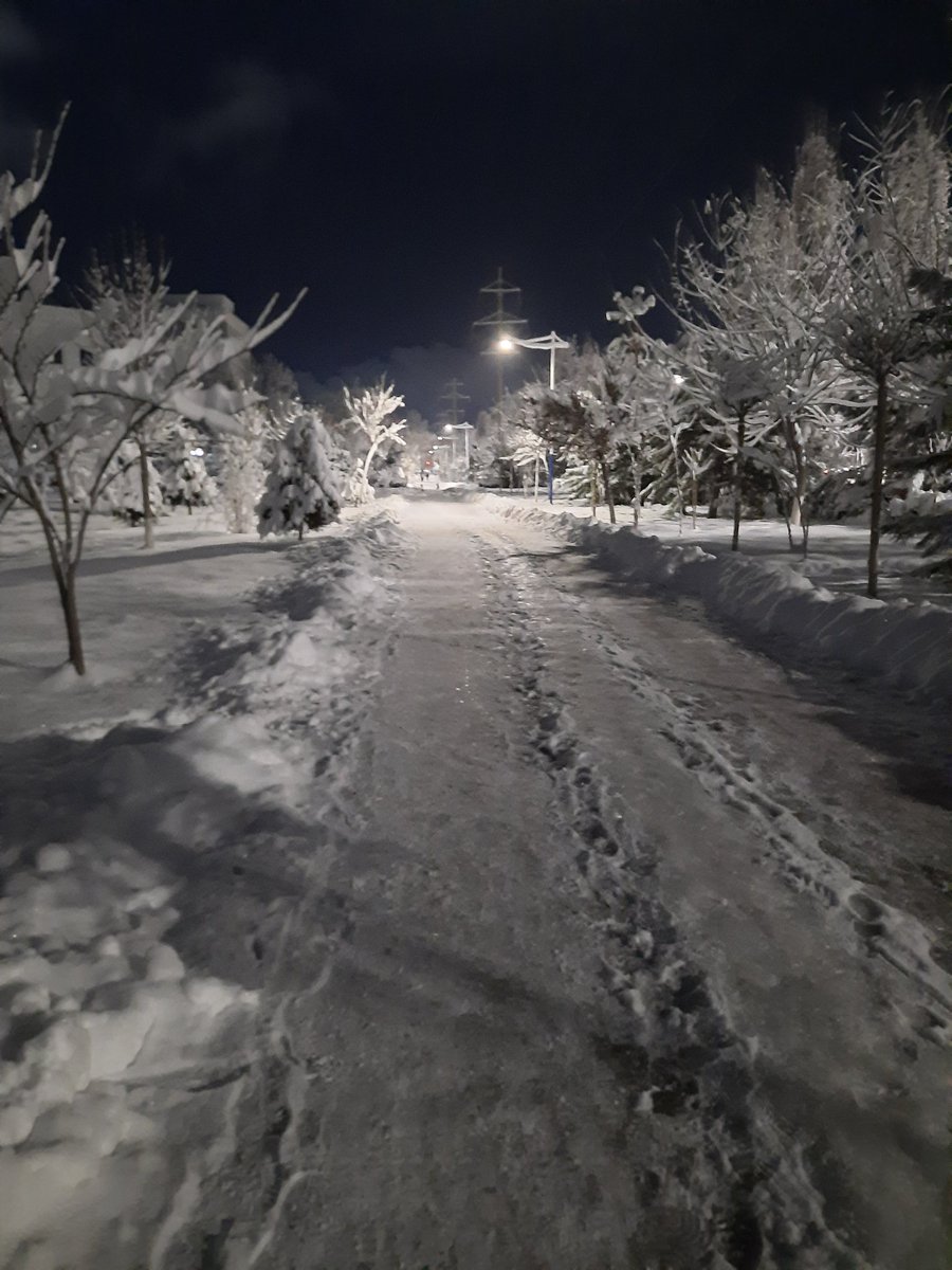 OlesyaRomashko's tweet photo. @DrYanWu This winter in Uzbekistan. It wasn't normal. However, it's +15, +20C° now https://t.co/RiDwSjAoct