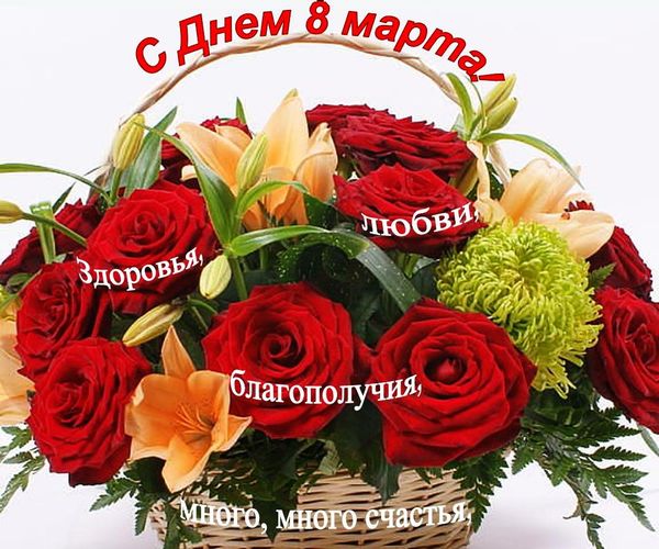 филатова людмила (@ufbnb1) on Twitter photo 
