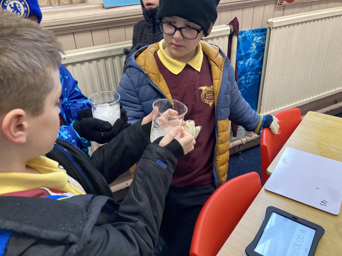 Victoria Primary tweet media