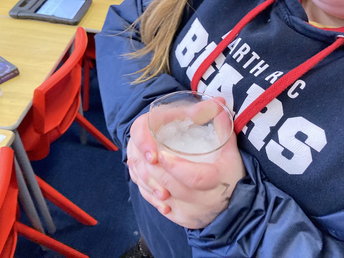 Victoria Primary tweet media