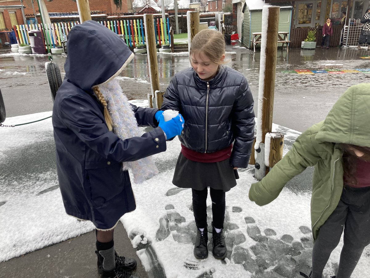 Victoria Primary tweet media