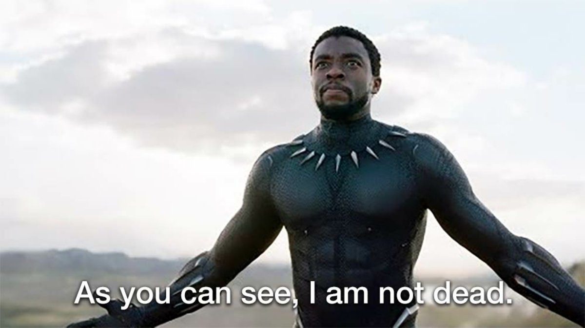 GM !! It's been a minute, hope you all are well 💙

Did you miss me ?