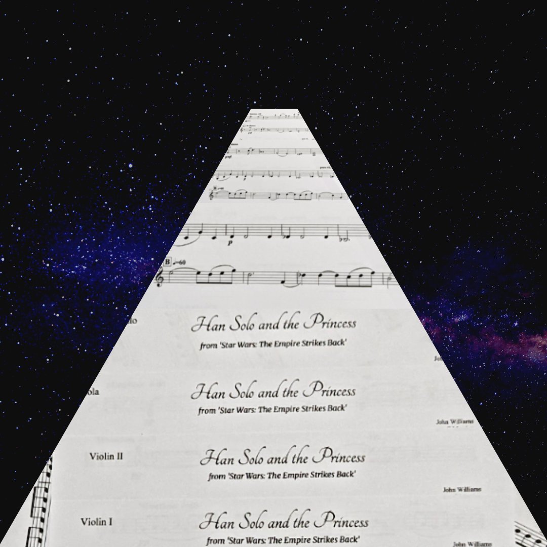 We get the BEST requests! Becki &amp; John (Sci Fi, video game and film music fanatics) chose 'Han Solo and The Princess' for their ceremony - a truly romantic scene! 💘💘💘
#yorkshirestringquartet #stringquartetleeds
#starwarswedding #stringquartetyorkshire
#bespokeweddingmusic