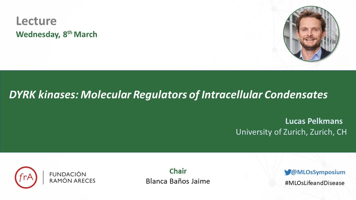 MLOsSymposium's tweet photo. We're back on track to learn more about #MLOsLifeandDisease with @pelkmanslab, who will give some insights into DYRK kinases: Molecular Regulators of Intracellular Condensates 
#frAreces #LLPS
@FundacionAreces @cicCartuja @SEBBM_es @unisevilla #RASC https://t.co/hXqUtE6HJX