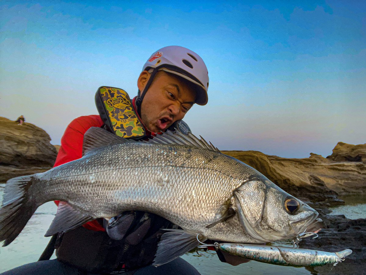 haze0522's tweet photo. ヒラスズキも開幕。
夕マヅメのローライトに差し掛かるタイミング。
風波ハイタイドと、魚が上ずって無さそうだったので、プロトのpzdv145Fをチョイス。
足元の根際をショートジャークからのステイ、、、、
「ドンッ」っと引ったくり!!
#三浦半島
#VARIVAS8
#110works
#pozidrivegarage
#pzdv145 https://t.co/zygtsOWE4v
