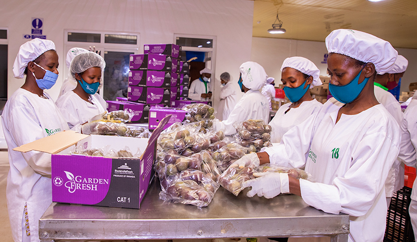 FreshRwanda's tweet photo. On International Women's Day @FreshRwanda   celebrate the incredible contributions of women to the company &amp; agriculture sector. We thank all the women in agriculture for their commitment to providing food to the world.
wish you a happy International Women's Day!
#IWD2023 https://t.co/DbAI4FLgMg