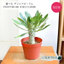 ぼたにかるぼっと tweet media