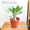 ぼたにかるぼっと tweet media