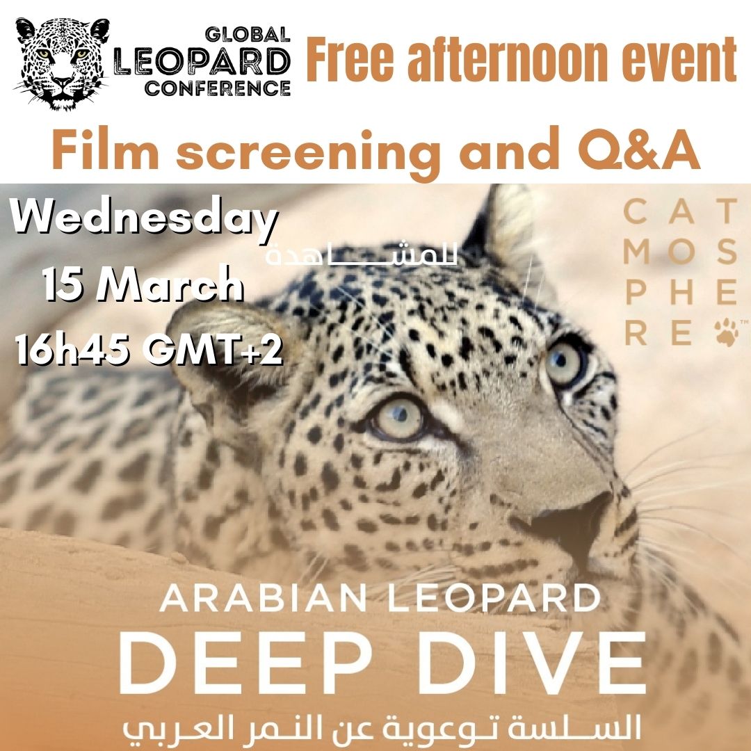 #GLC23 Free events 
• Wednesday 15 March 16h45 SAST (GMT+2): a screening of the ‘Arabian Leopard Deep Dive’ short film series with introduction and Q&A by @catmospherenow  
Links to attend will be advertised on all @LeopardConf SM channels & website
#Catmosphere #Arabianleopard