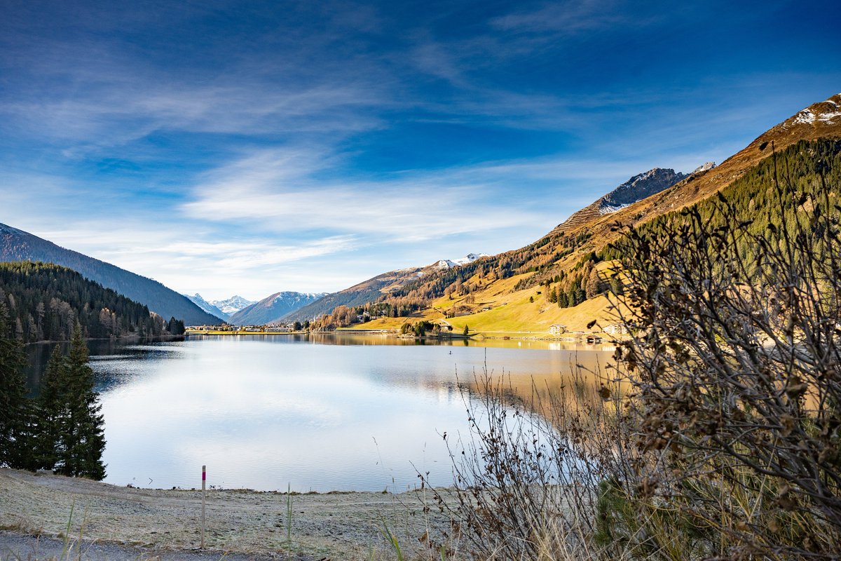 Be inspired by the glorious nature surrounding Davos to meet old friends and make new ones. To allow participants to breath some of the renowned good Davos' mountain air, the ESB2023 organizers have included one free afternoon for a walk or run around the Lake of Davos. 🗻🐿️🍂