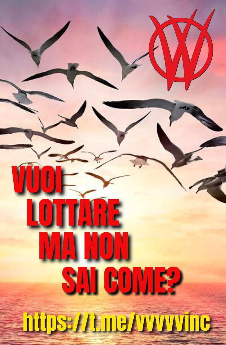 eren52088's tweet photo. ‼️🔥⚡️🔥‼️
ONLINE OGGI
Mercoledì #8marzo 👇

h 12:00 Room 16
h 13:00 Room 15
h 14:30 Room 9
h 17:00 Room 12
h 19:00 Room 11
h.19.45 Room 3
h 21:00 ENTRA IN V_V
h 22:00 Room 16

ACCEDI ALLE CHATROOMS 👇
https://t.co/HVVb8SuGIV

SCOPRI COME E PERCHÈ‼️
🔥diventare GUERRIERO #ViVi 🔥 https://t.co/OO5TFdD9H5