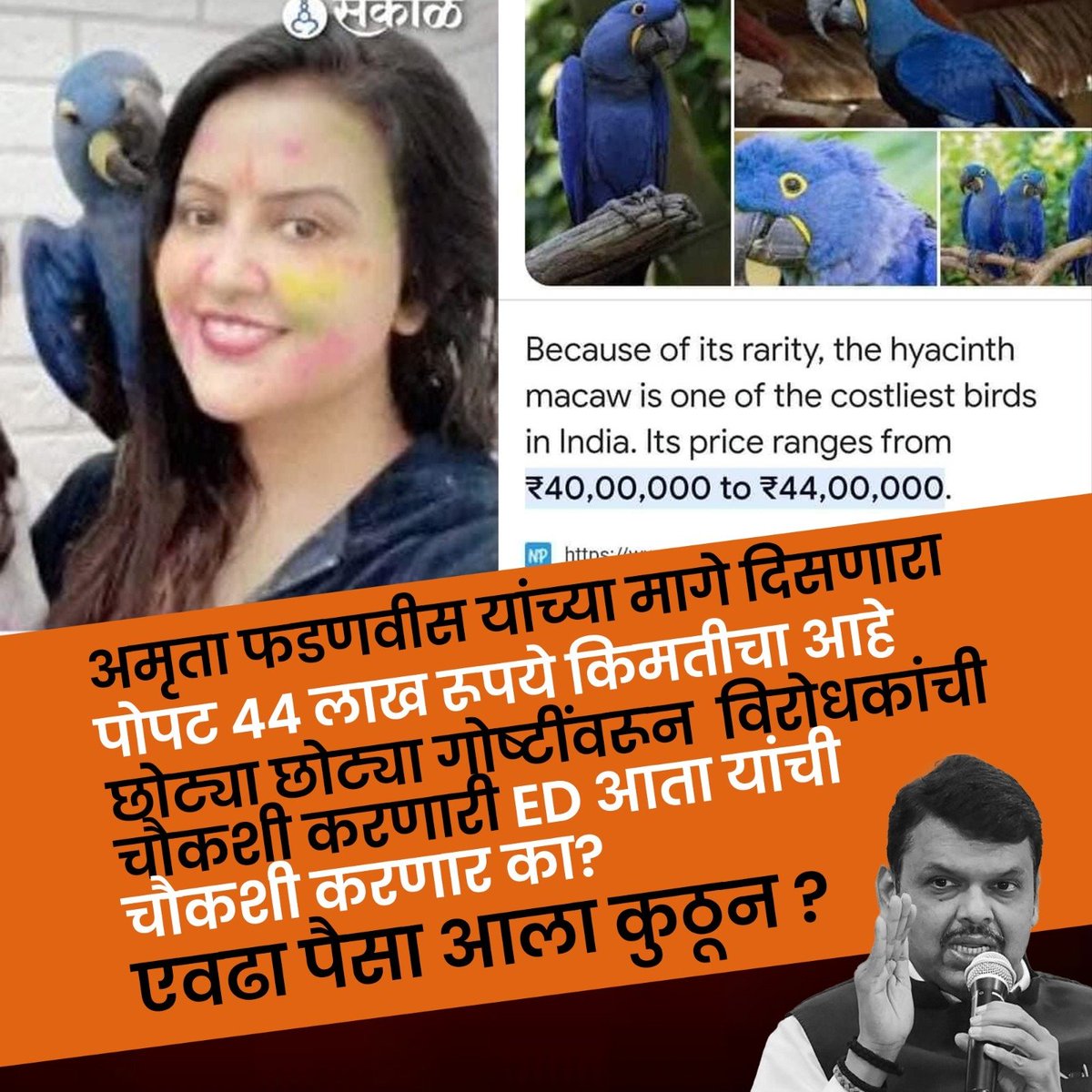 AnaghaAcharya's tweet photo. ED भाजपच्या पिंजर्‍यातील पोपट🦜 नसेल तर दिसेल ना.... https://t.co/xgDomRY8Nk