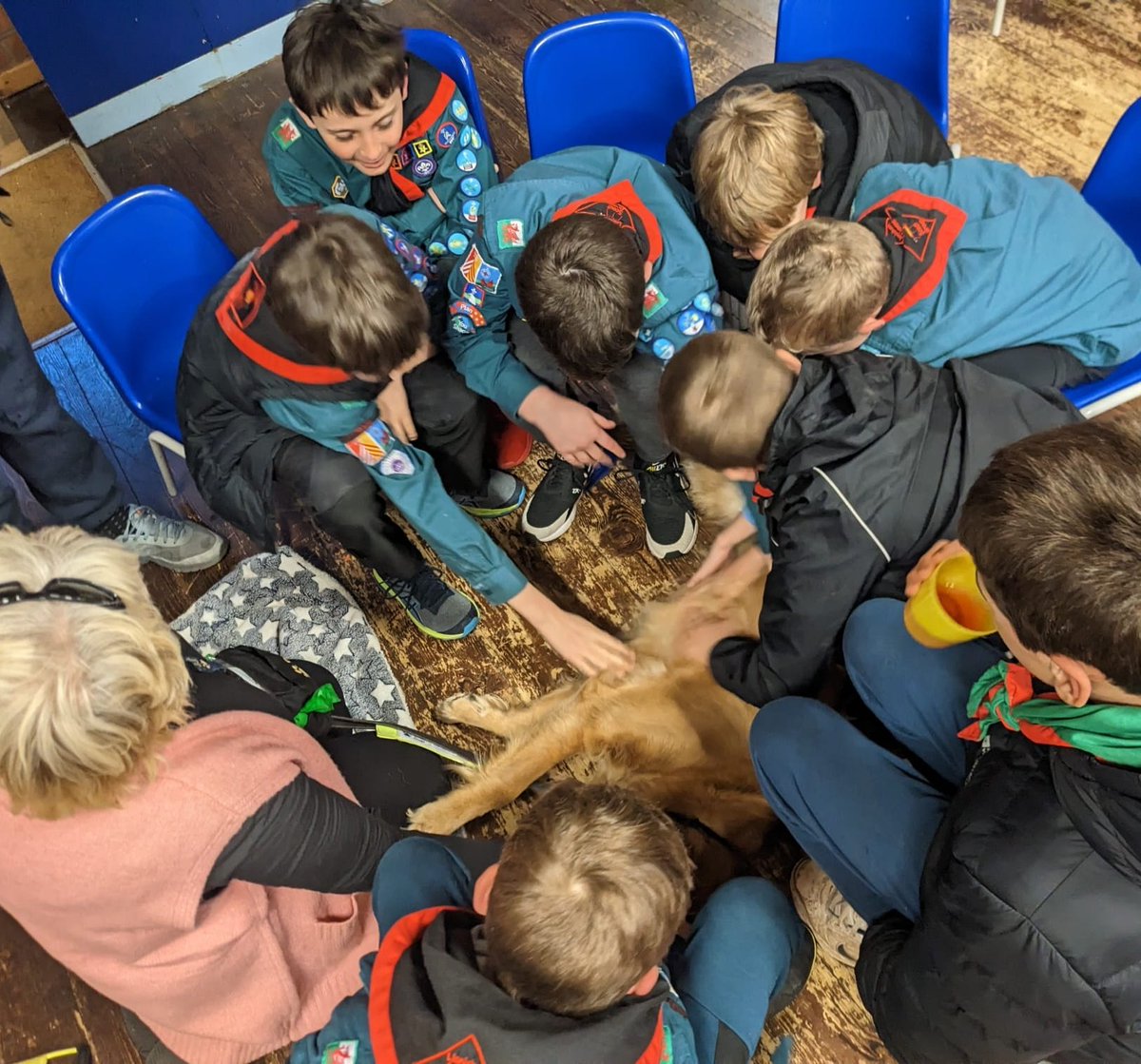 Llanishen & Lisvane Scout Group tweet media