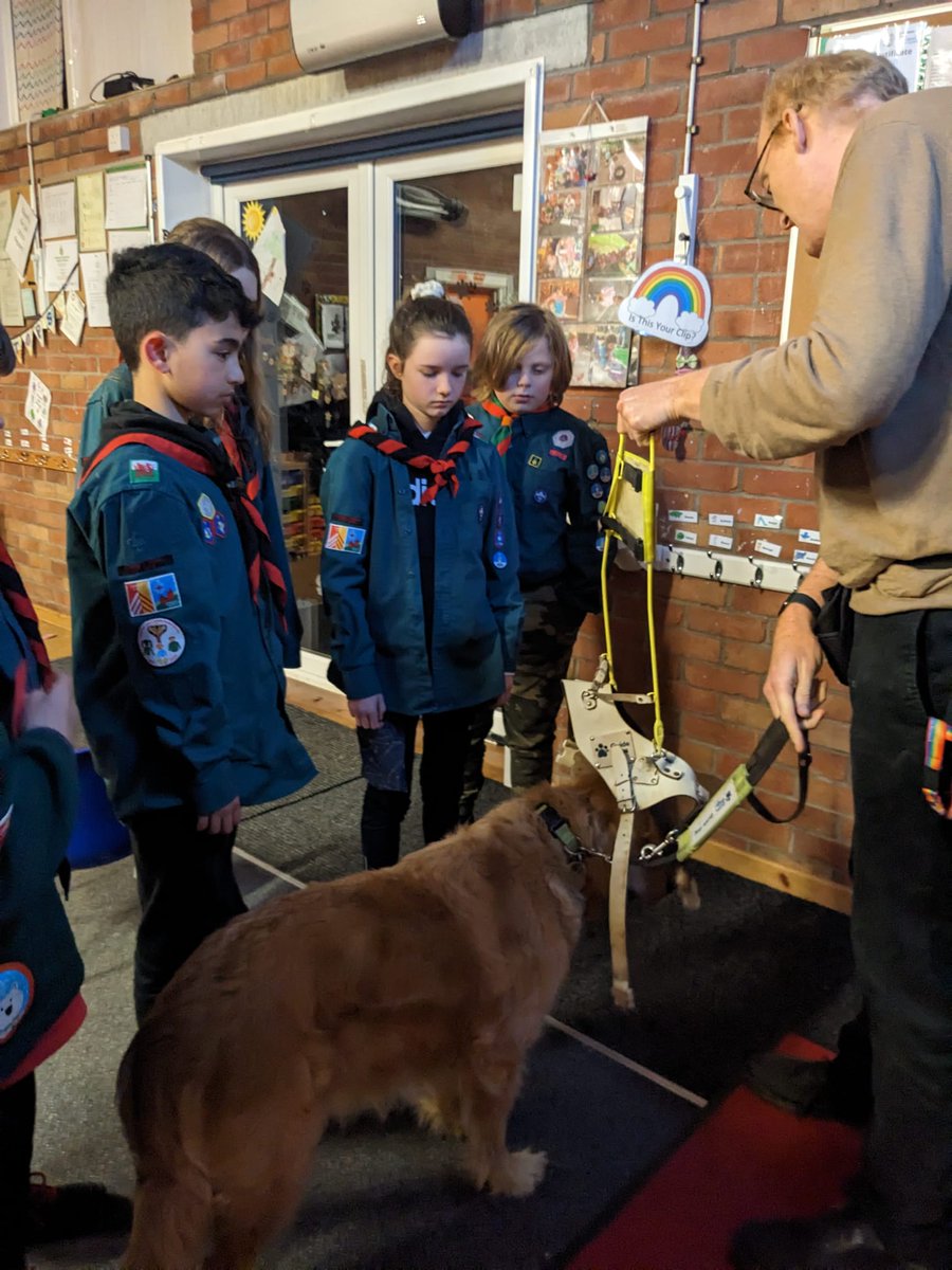 Llanishen & Lisvane Scout Group tweet media