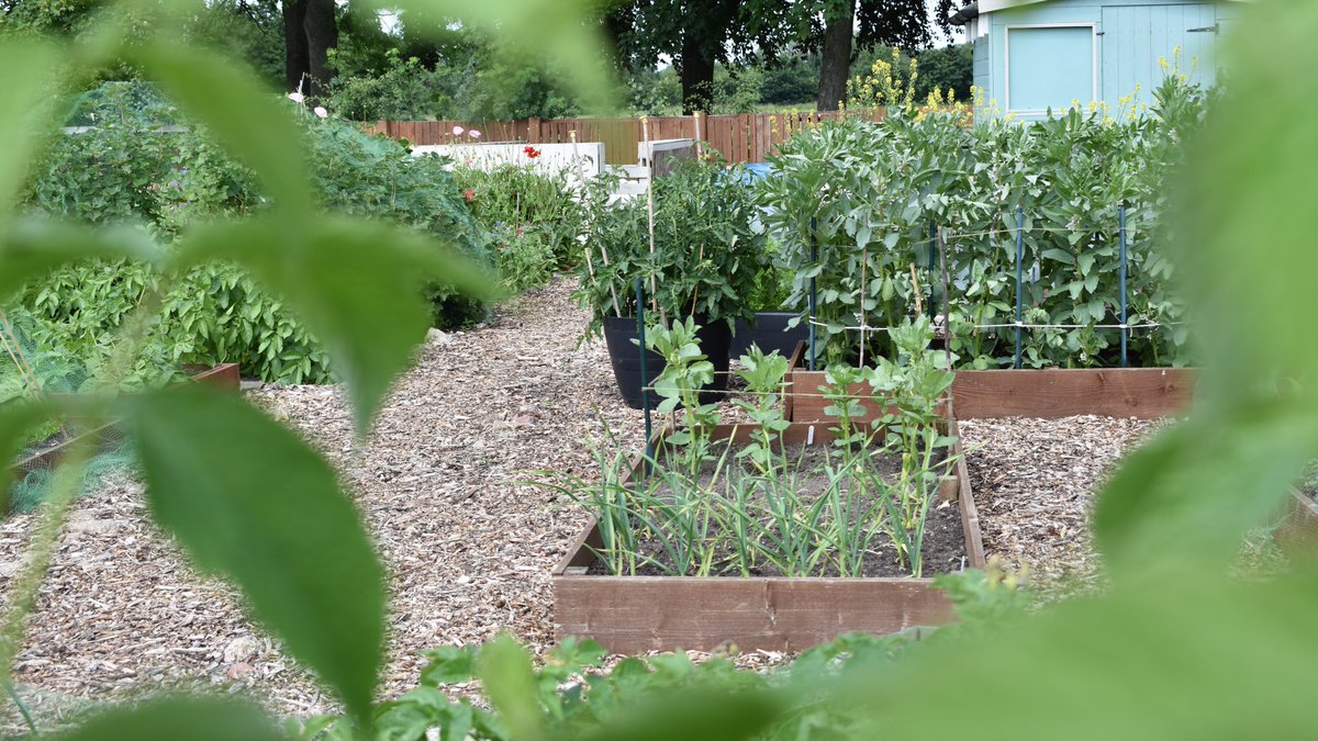 🌱 This week across York St John, in collaboration with our incredible @YSJSustain team, we're marking our third annual Green Week. 🌱

On the agenda this year, we're delving into food security, 🍞 growing veg, 🥕 and sustainability. 🍏

Learn more.⬇️
yorksj.ac.uk/news/2023/gree…