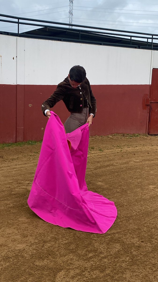 7 TOROS 7 tweet media