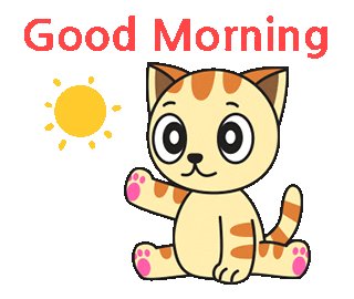 SatoshiFlipper's tweet photo. Good morning friends, hope everyone is having a great Wednesday ❤️ https://t.co/qUMzHCIyY0