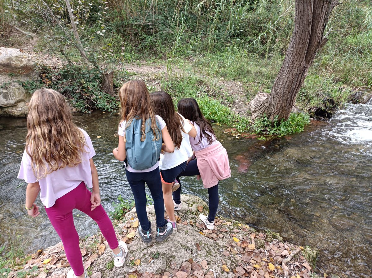 Albergue ACTIO tweet media