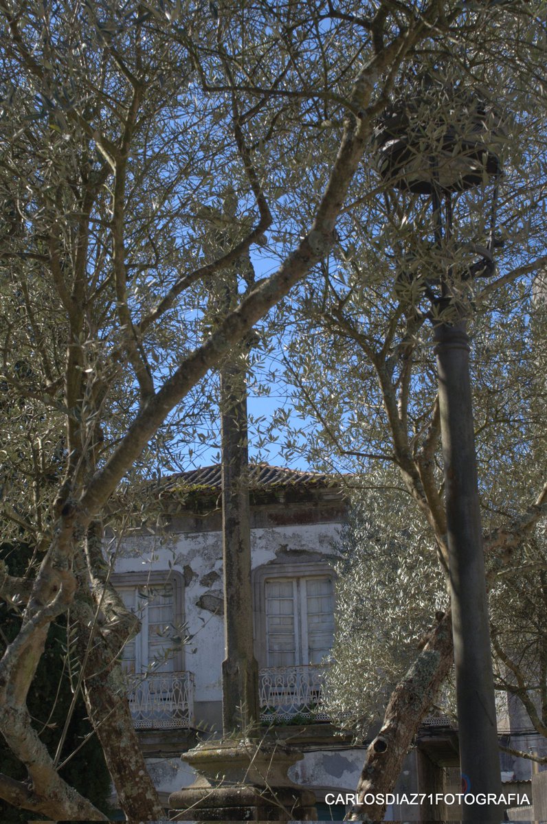 Rincones Caldas de Reis .
#street #streetphoto #streetphotographer #cruceiros #CaldasdeReis #photograph #urbanphoto #galicia #pueblosgalicia #TurismoGalicia 
#conocer_galicia #asi_es_galicia #total_pontevedra