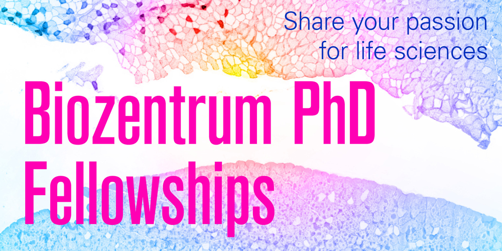 Apply now for the prestigious and independent #BiozentrumPhDFellowships. Great science. Unique rotation-based selection of research group and other incentives. The summer call is open until 25 May 2023. bit.ly/2SWAiwF <a href="/biozentrum/">Biozentrum, University of Basel</a> <a href="/UniBasel_en/">University of Basel</a>