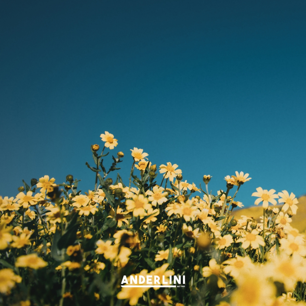 Un pensiero oggi, un pensiero sempre a tutte le nostre bambine, atlete, mamme, collaboratrici, lavoratrici: il cuore pulsante, il presente e il futuro.

#festadelledonne
#anderlini
#anderliniINSIDE