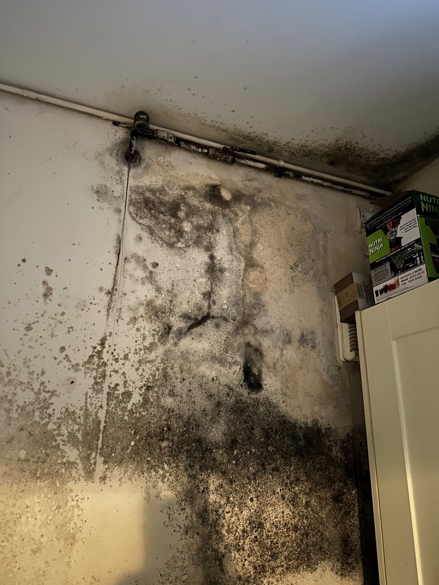 Juliette Mottram (@juliettemottra2) on Twitter photo Look at the kitchen from hell! <a href="/GeoffRawBHCC/">Geoff Raw</a> <a href="/BrightonHoveCC/">Brighton & Hove City Council</a> <a href="/michaelgove/">Michael Gove</a> @luhc <a href="/Independent/">The Independent</a> <a href="/DailyMirror/">The Mirror</a> <a href="/TheSun/">The Sun</a> #mouldkills Look at the kitchen from hell! <a href="/GeoffRawBHCC/">Geoff Raw</a> <a href="/BrightonHoveCC/">Brighton & Hove City Council</a> <a href="/michaelgove/">Michael Gove</a> @luhc <a href="/Independent/">The Independent</a> <a href="/DailyMirror/">The Mirror</a> <a href="/TheSun/">The Sun</a> #mouldkills