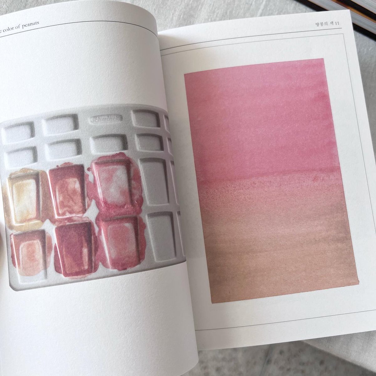 별책부록 서점 tweet media