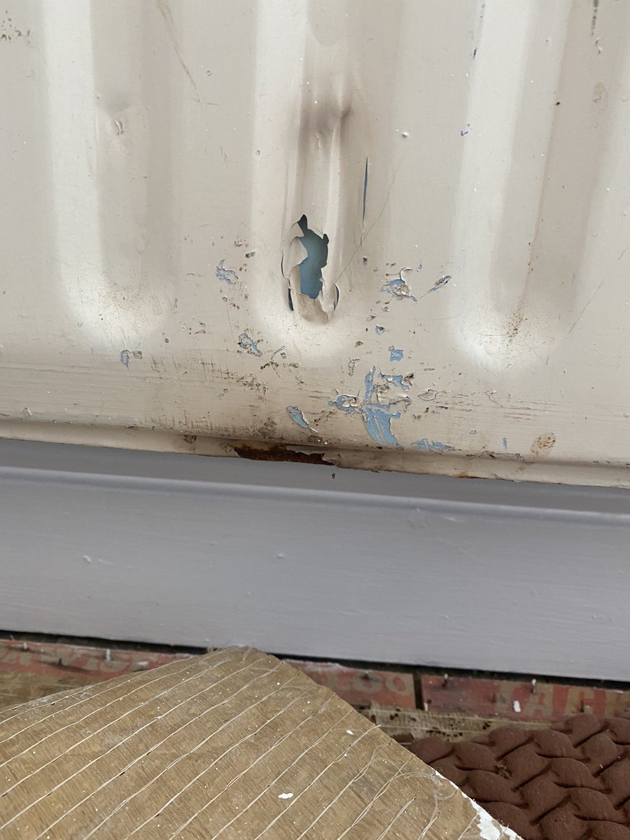 #PlumbingDisaster a friend painter asked to com and remove an rad so he can paint behind. I found this beauty customer wants to keep it🤮🤢🤦‍♂️