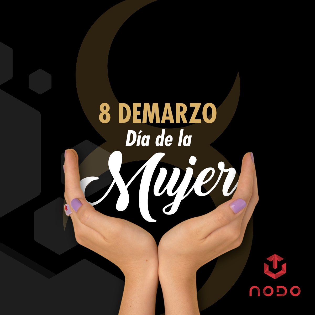NODO Cía Ltda tweet media