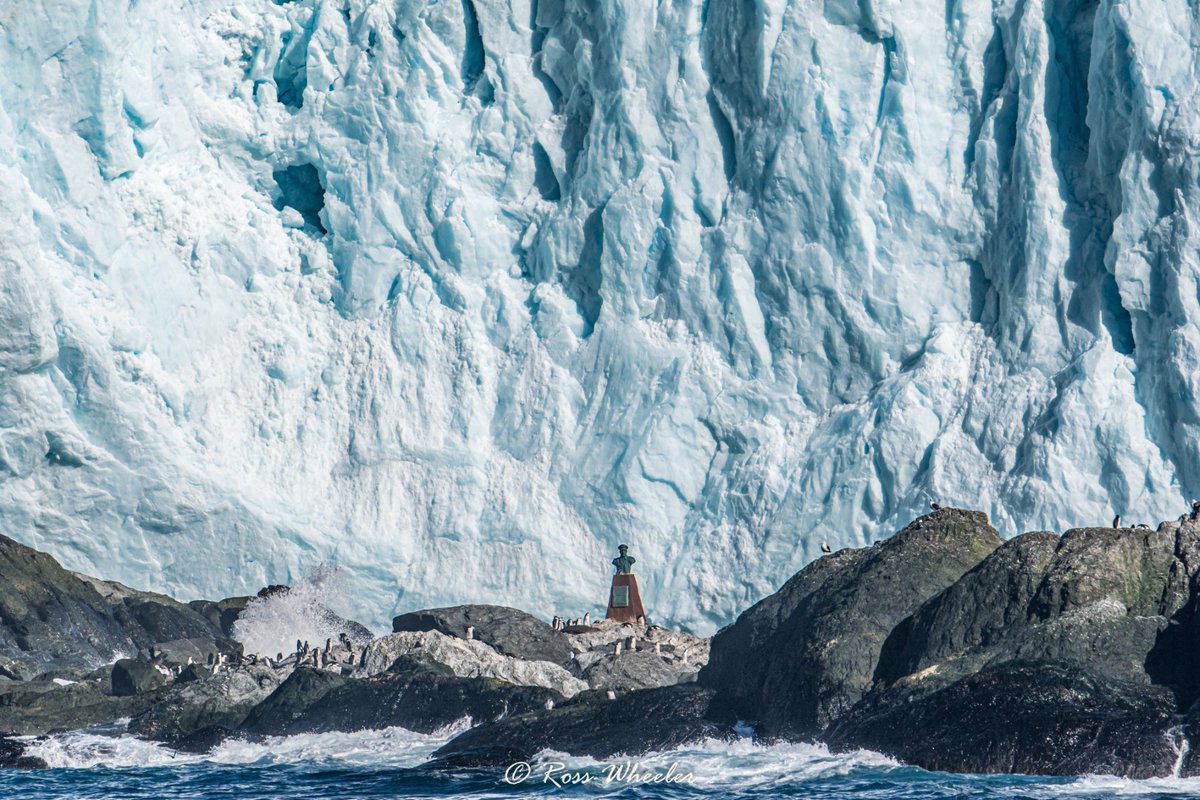 OceanwideExp's tweet photo. On this picture you see the famous #PointWild, #ElephantIsland, where Shackleton’s crew made their first landing after the loss of their ship, Endurance. This inhospitable spit of land is a favorite among our guests and guides.
📸 by Ross Wheeler. https://t.co/q2CnmYX1lL