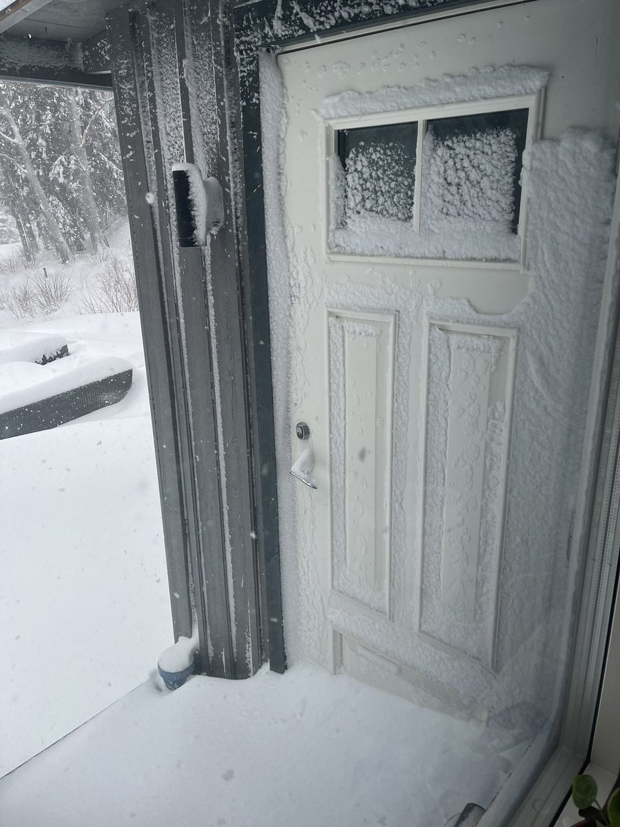 Cliff Hazell 🚀 tweet media