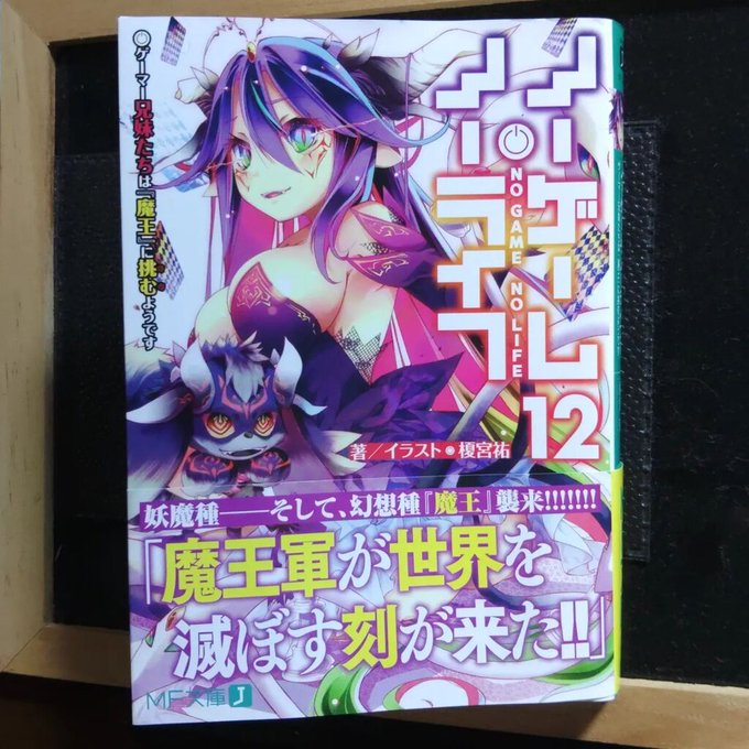 間違えて２冊買ってしまった11巻の話は置いといて。ええ、置いといて。遂に12巻ですよ！魔王ですよ！モフりますよ！13巻も