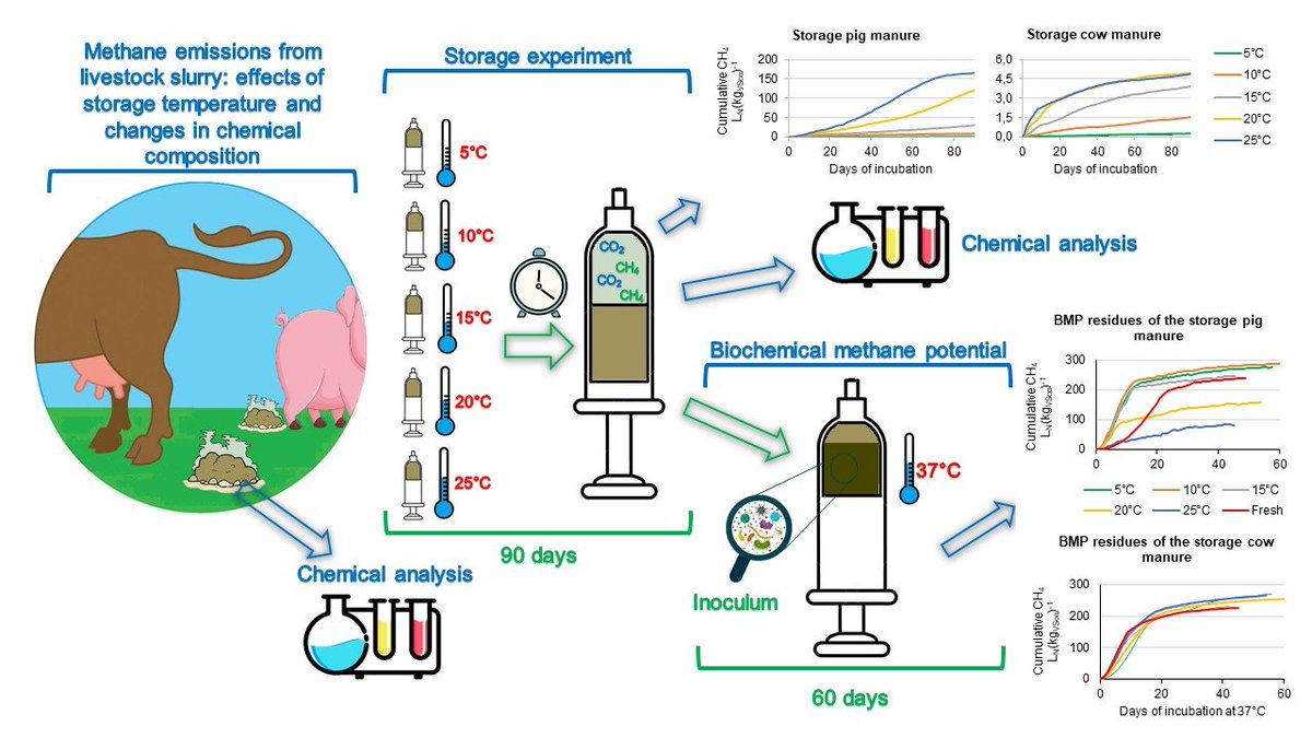MDPIEnvironment's tweet image. #SUSEditorialChoice

Methane Emissions from Livestock Slurry: Effects of Storage Temperature and Changes in Chemical Composition

by Julio E. Hilgert, et al.

mdpi.com/2071-1050/14/1…

#GHGemissions #manuremanagement #pigmanurestorage