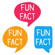 STOCSch's tweet image. The STOC fun fact of the day today is … The colour red doesn’t really make bulls angry; they are colour-blind! 💛💙 @STOCSch #dailyfunfacts #wow