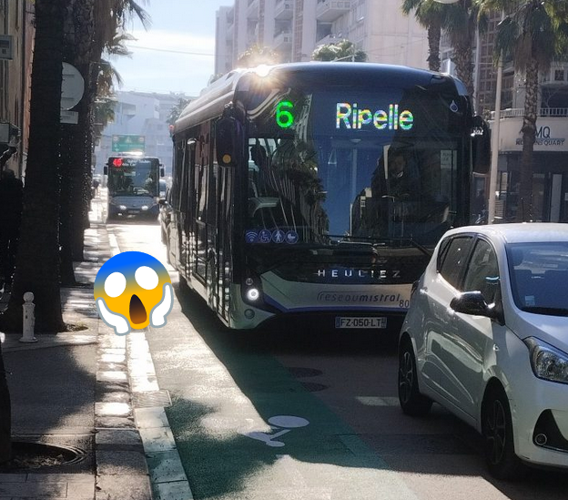 La Masse Critique Toulon tweet media
