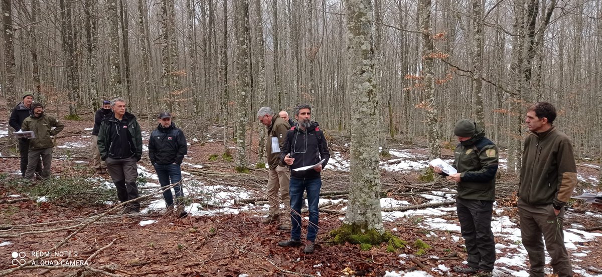 Ahora el turno es para los compañeros de <a href="/foraforestech/">föra</a> que nos cuentan el resultado de inventario cunatitativo y cualitativo para los hayedos. ¿Se puede sacar un inventario de volúmenes de productos de madera para industria por calidades para cada rodal? Si se puede! <a href="/go_fagus/">Grupo Operativo GO Fagus</a>