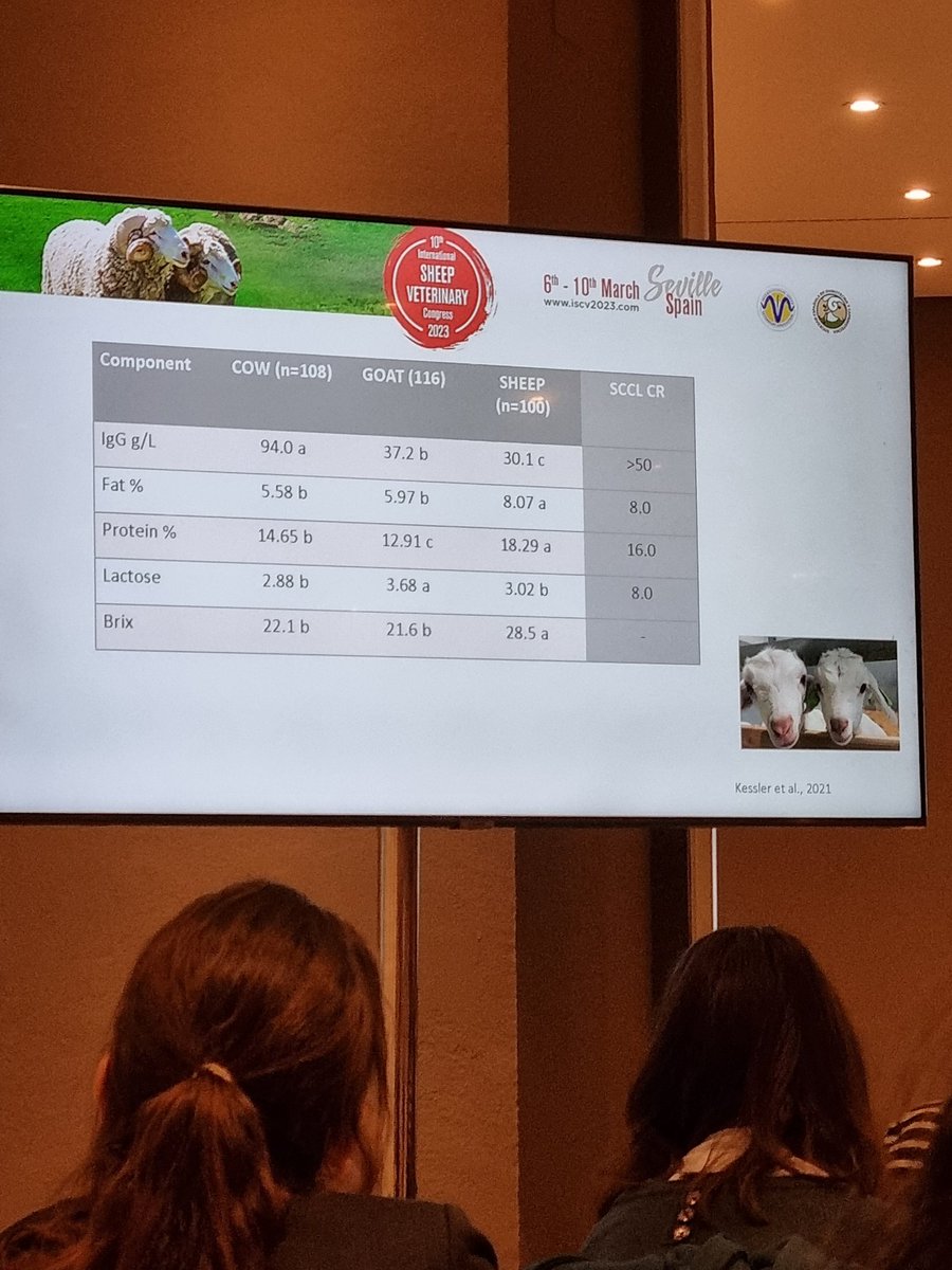 PhillipaFarmVet's tweet photo. Some brilliant scientific presentations on lamb Neonatal management & colostrum quality! To a packed audience. Well done..on #InternationalWomensDay too! @KimHamer10 plus others #ISVC2023 @SEOCSpain 👏👏👏 https://t.co/KRz5NEot7F